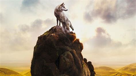 gofilm wolf totem|WOLF TOTEM English Subtitled Trailer .